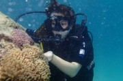 多米尼加特色水上运动旅游热度升高，多米尼加海滩